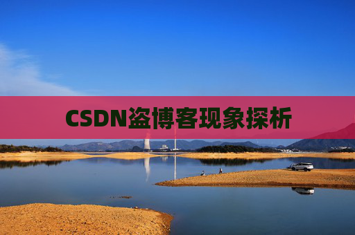 CSDN盗博客现象探析